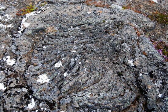Stricklava