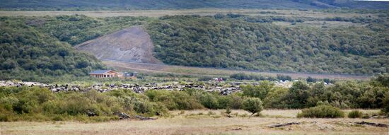 Blick zu den Parkplätzen von Barnafoss und Hraunfossar