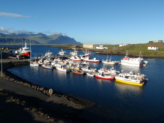 Hafen von Djúpivogur