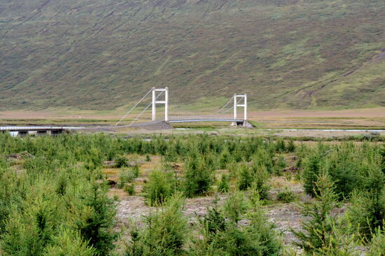 bald kam die Brücke in Sicht