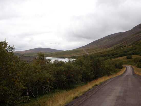 Weiterfahrt auf der 842 durch Aufforstungen