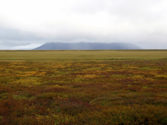 Blick zum Sellandafjall hinüber