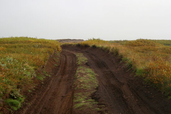 die Piste wurde immer ausgefahrener