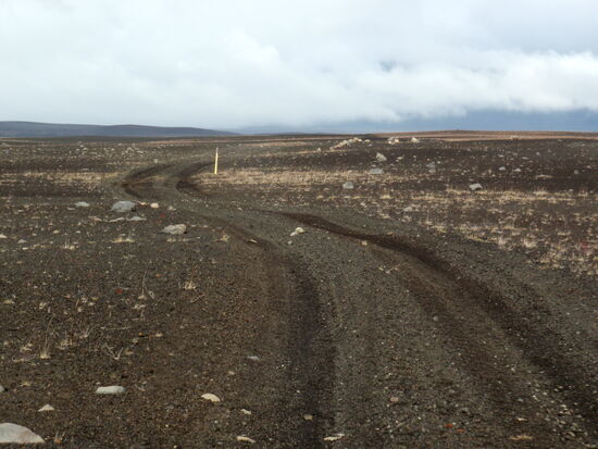 die Piste schlängelte sich