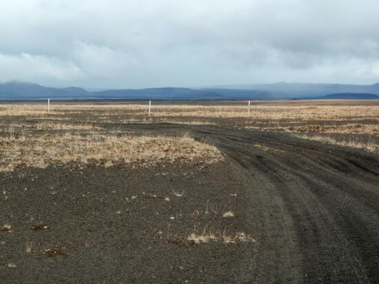 durch Sand- und Grasflächen