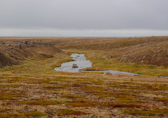 immer wieder kleine Wasserläufe