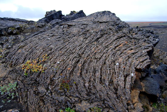Stricklava mit Bewuchs