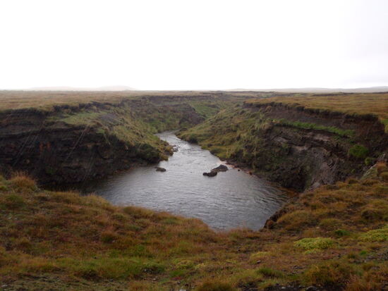 und an Wasserlöchern vorbei