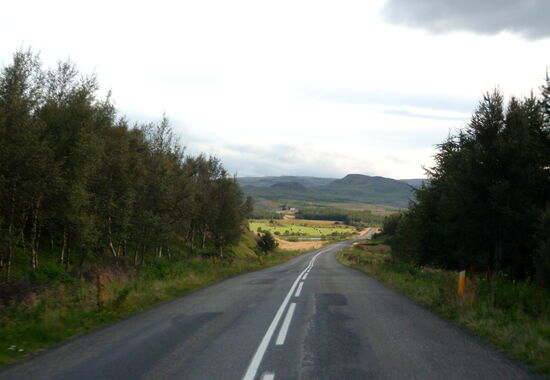 auf der 931 durch einige Aufforstungen