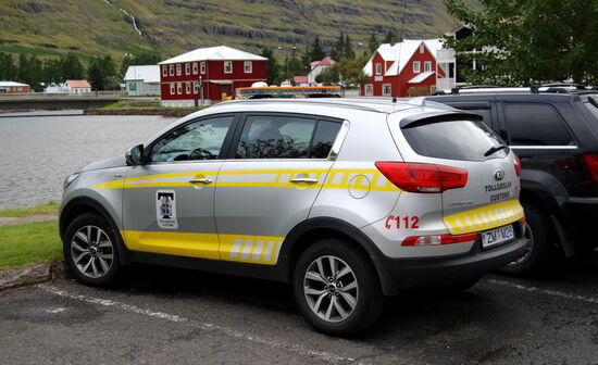 Kia Sportage des Zolls