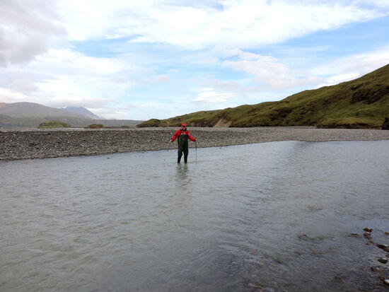 Kontrolle der Vadställe