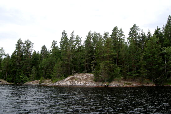 Felsplatten und Wald am Ufer
