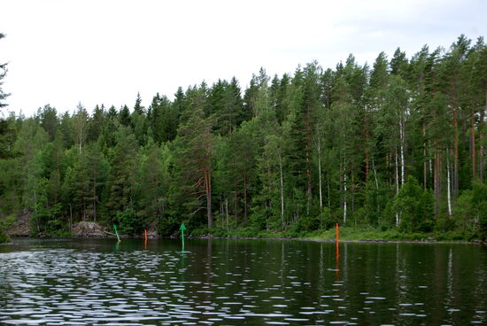ausgetonnter Fahrweg zum See Lelång