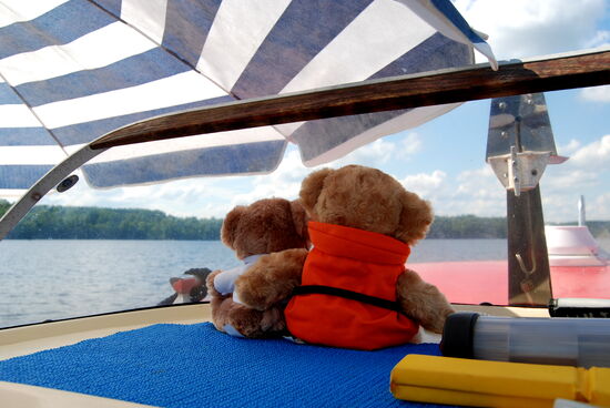 aber Sjöbjörn und Slussvakt waren aufmerksam auf Ausguck