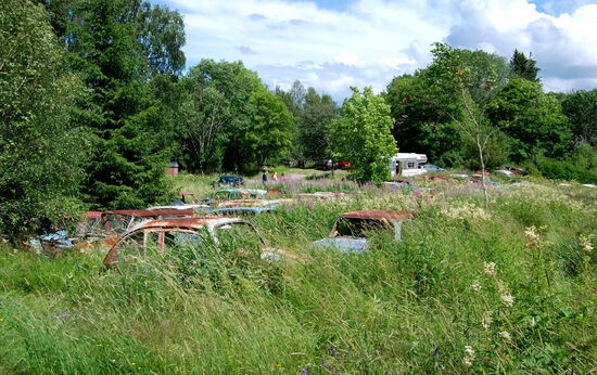 auf der Wiese waren die Autos fast vollständig überwachsen