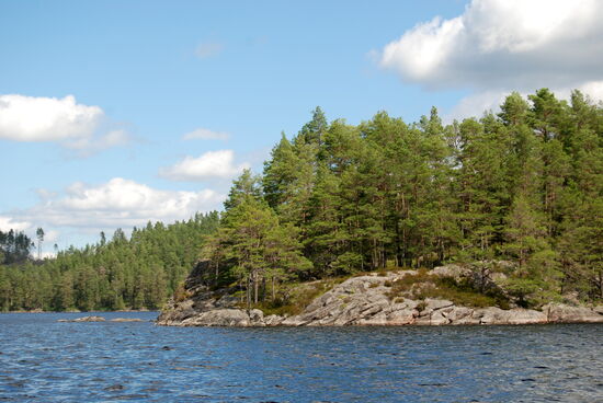 am Ufer Fels und Wald