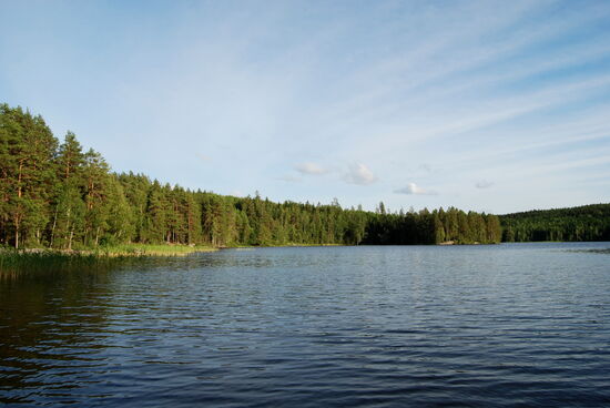 in unserer Rastbucht vom Hinweg wollten wir eigentlich übernachten. Es stand aber der Wind drauf, und am Ufer lagerten viele Paddler.