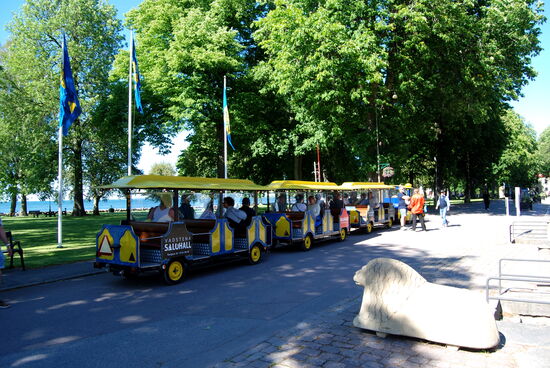 mit diesem Zug fuhren einige der Mitreisenden