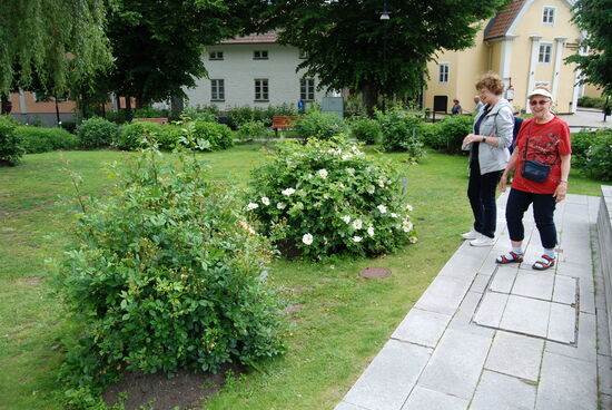im Rosengarten Hagapark
