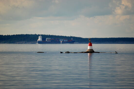Schiffsverkehr und Robben auf den Steinen