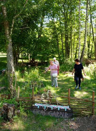 der vikingische Gemüsegarten