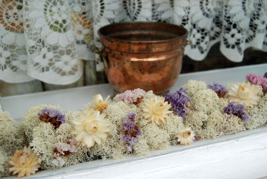 Rentierflechte wurde auch Fönsterlav - Fensterflechte genannt und zur Abdichtung der Fenster benutzt