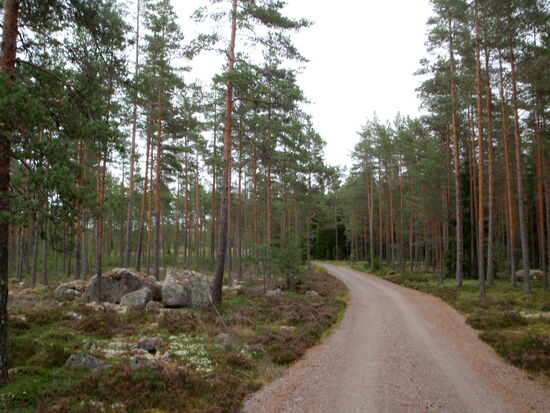 Weiterfahrt zuerst über schmale Grusvägar