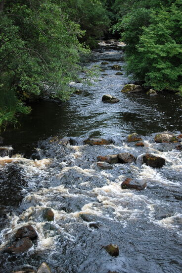die Stromschnellen Lankoski