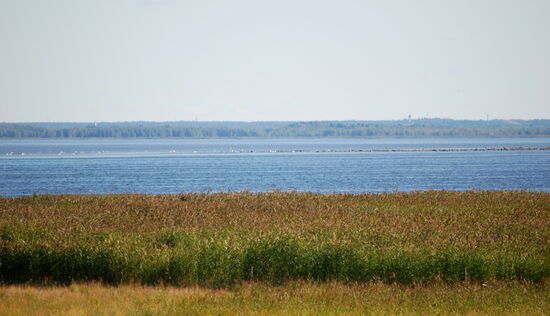 nur weit draußen auf dem Liminganlahti waren Vögel zu sehen