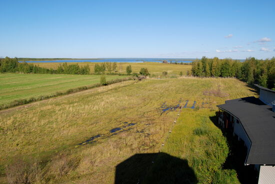 Blick vom Turm über Teile des Naturums zum