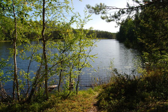 der Binnensee Teerilampi