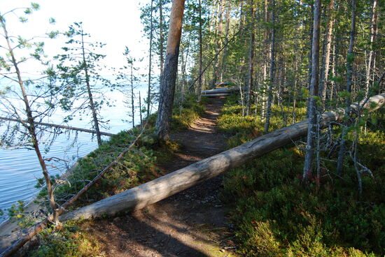 auf der teilweise der Weg verlief