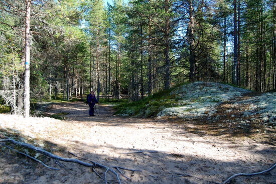 der Weg wurde sehr sandig