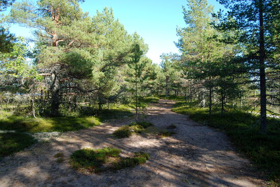 Rainer machte einen Absteher