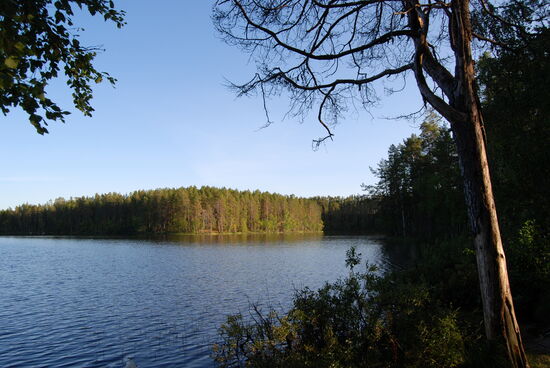 den See Särkinen