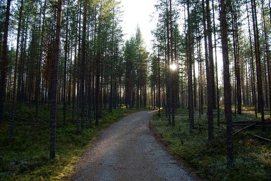 dann war es nicht mehr weit bis zum Campingplats