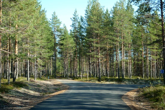 Abfahrt vom Campingplats