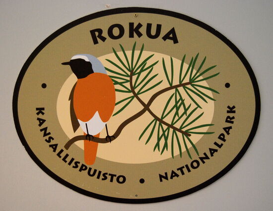 wir gingen erst ins Naturum, das jetzt offen war