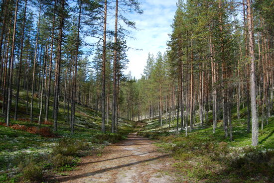 führte durch die Eiszeitlandschaft