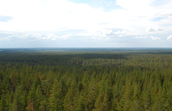 rundherum überall Wälder