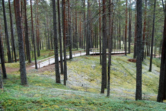 oder über Bohlenwege