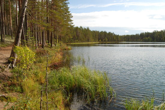 dann erreichten wir den See Pitkäjärvi