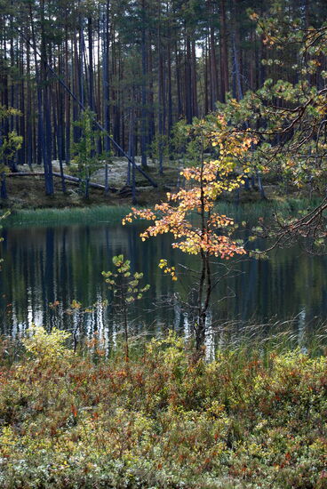 der Weg führte um den See herum