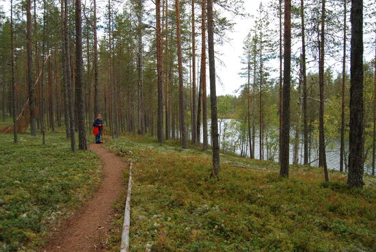 der Weg am Ausläufer des Sees Pitkäjärvi