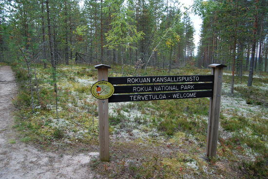 wir überquerten die Nationalparkgrenze
