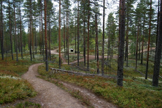 dann kamen wir an die Weggabeling