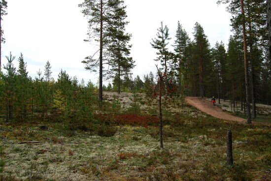 wo Christa zum Auto zurück ging