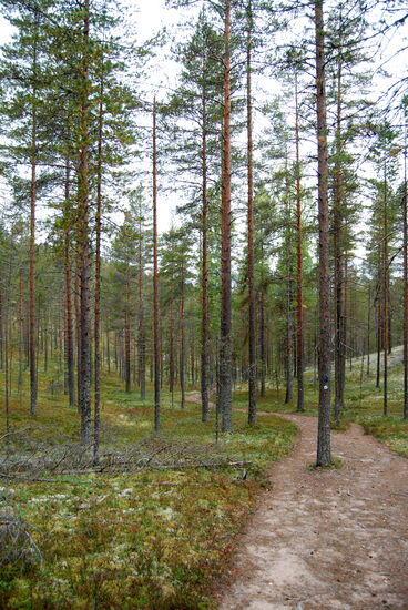 Rainer wanderte weiter in das Tal mit den größten Todeisgruben Syvyydenkaivo - Djupbrunnen (Tiefbrunnen)
