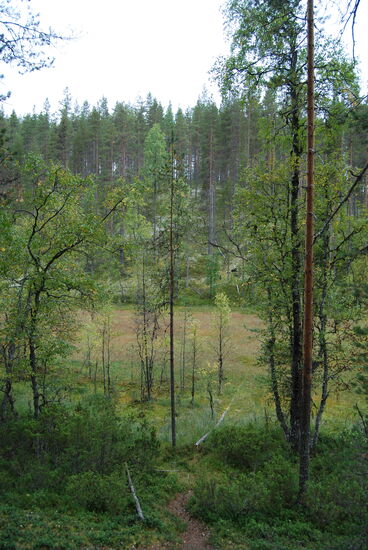 Blick in das Tal hinunter