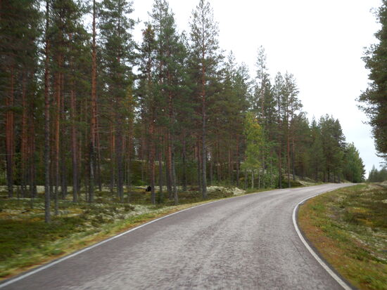 Weiterfahrt durch die eiszeitliche Dünenlandschaft